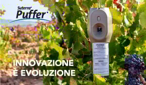 puffer-innovazione-e-evoluzione