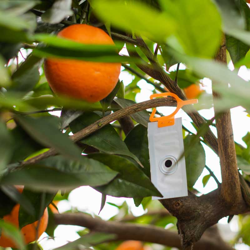 rio-tinto-Suterra-CRS-Biocontrol