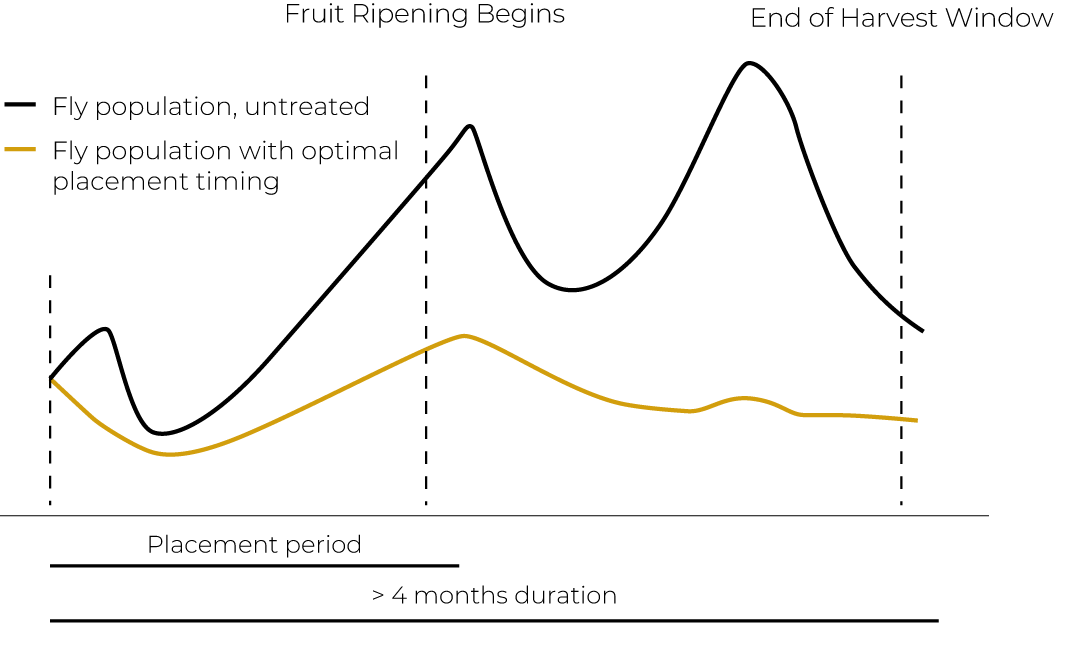 ruby-placement-graph-24