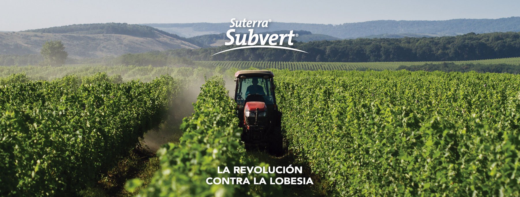 subvert-la-revolucion-contra-la-lobesia