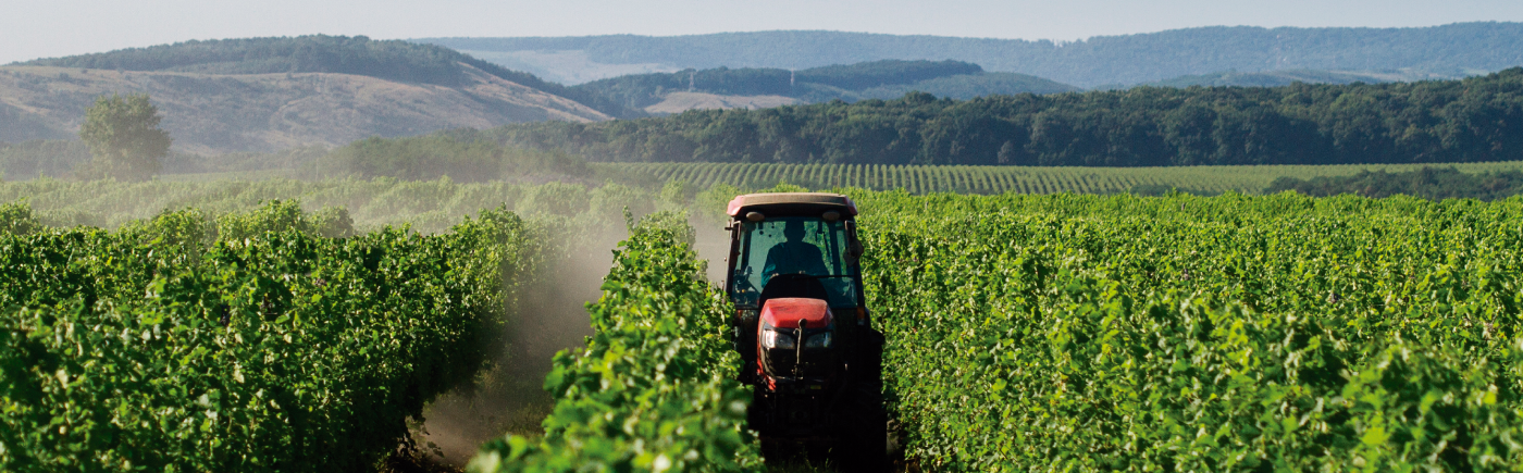 Tractor en campo