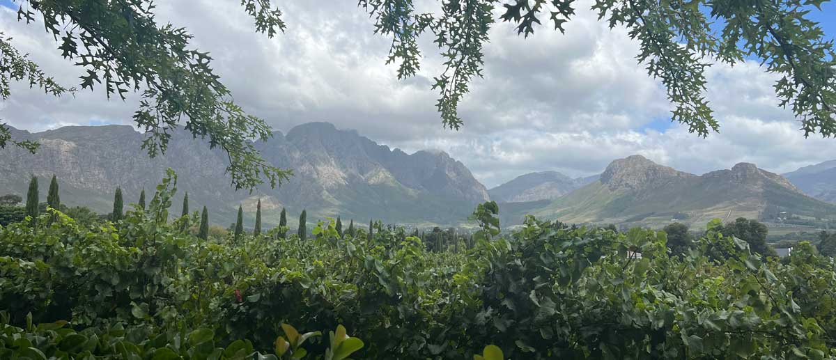 sudafrica-suterra-biocontrol