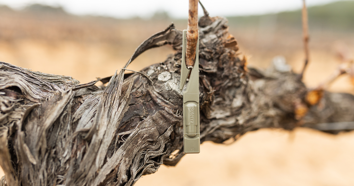 sut-celada-lb-eu-18400-270122-011