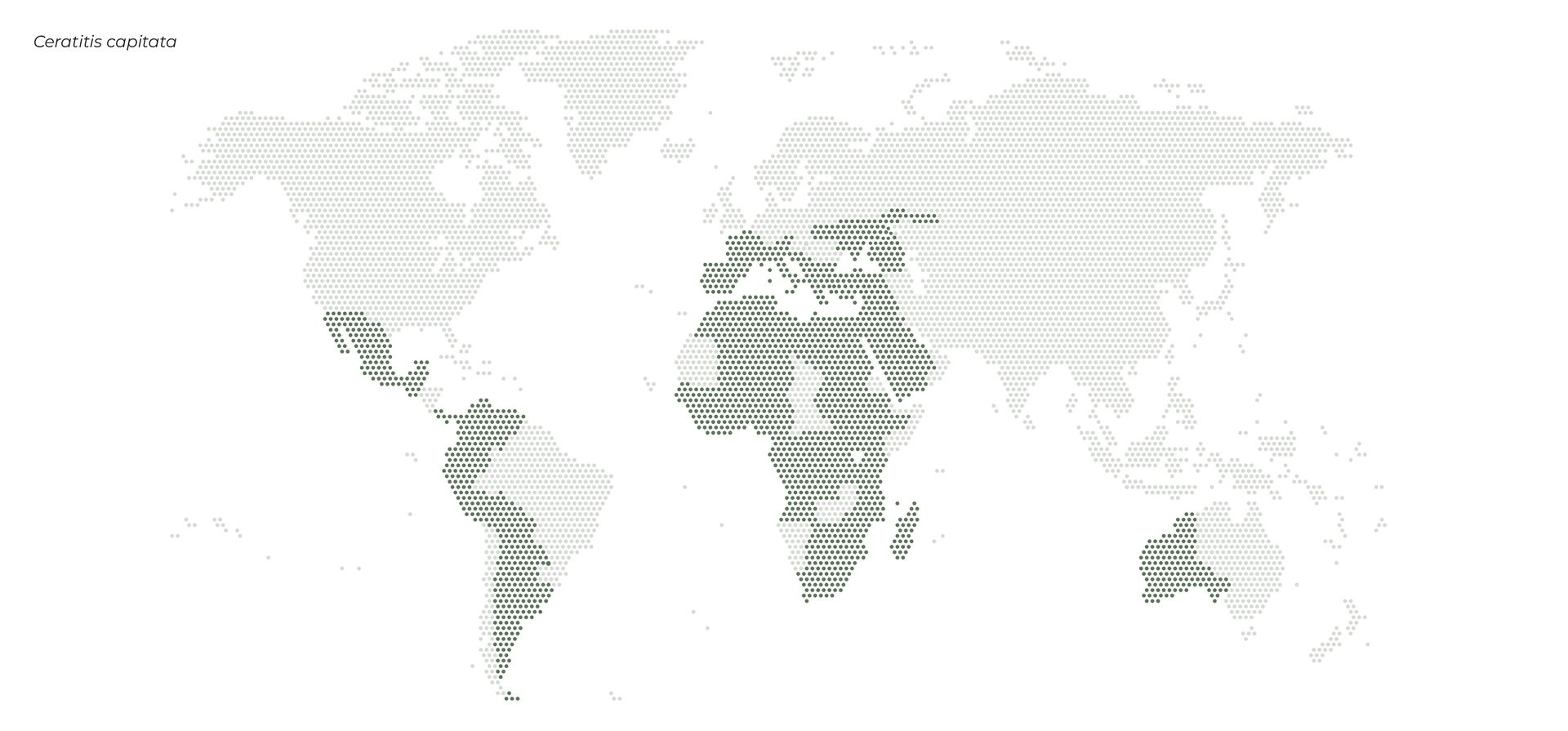 sut-ceratitis-capitata-pest-distribution-map
