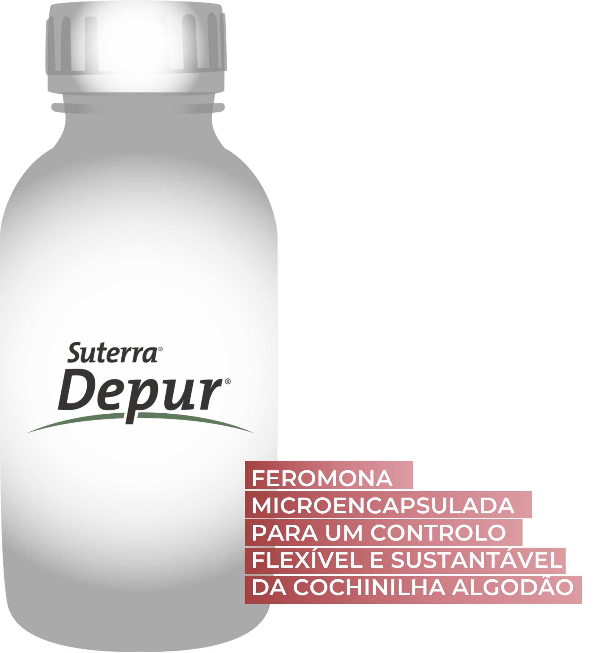 sut-depur-bottle-text-eco-pt