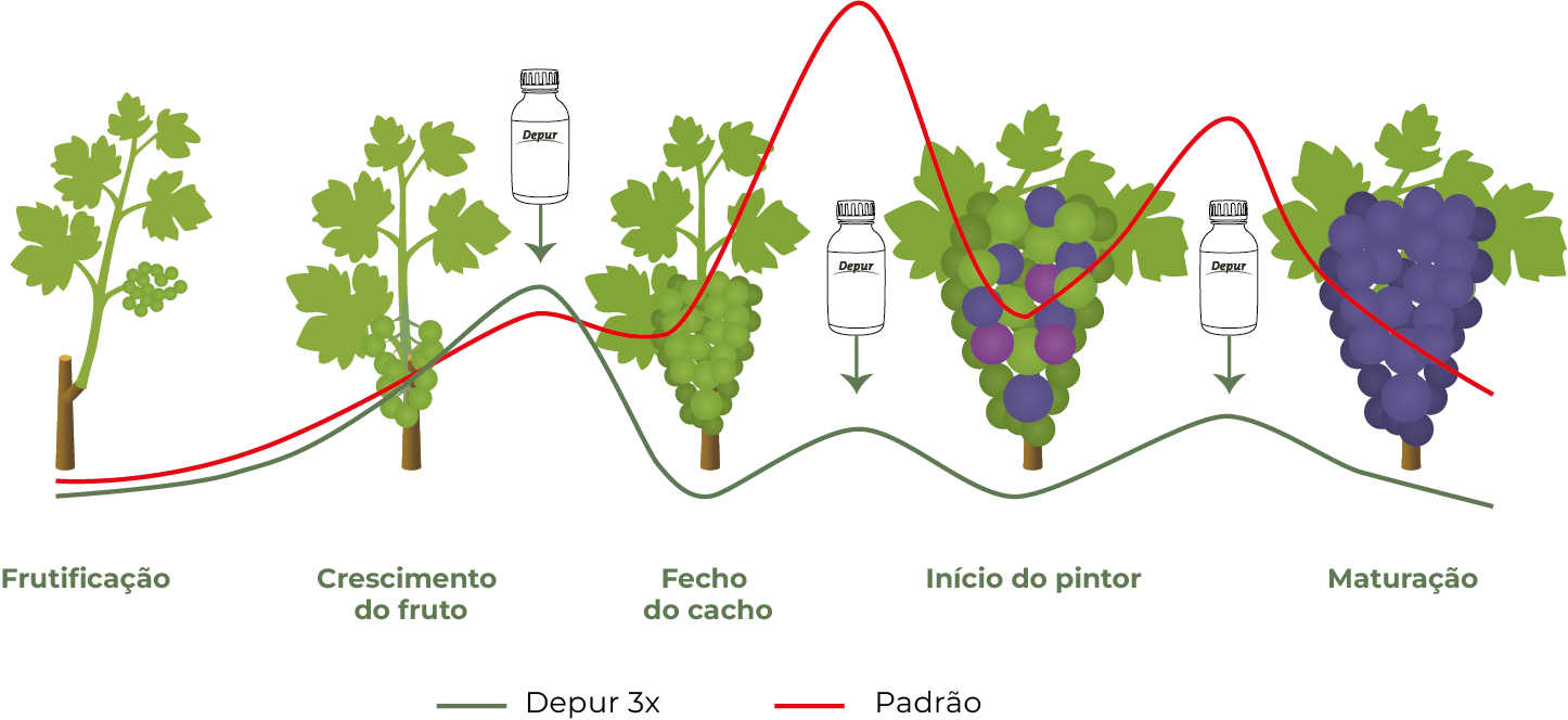 sut-depur-graph-aplication-pt