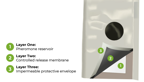 sut-dispenser-diagram-011924-01