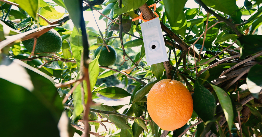 suterra-checkmate-crs