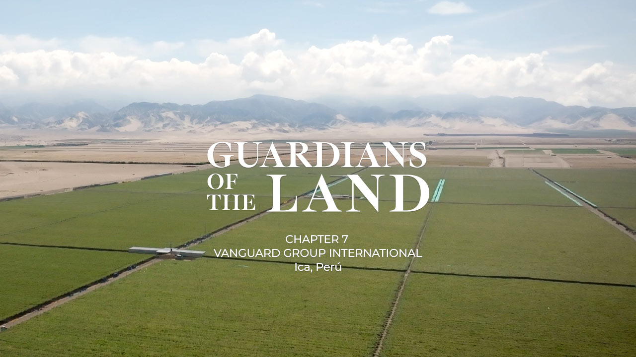 suterra-guardians-of-the-land-vanguard