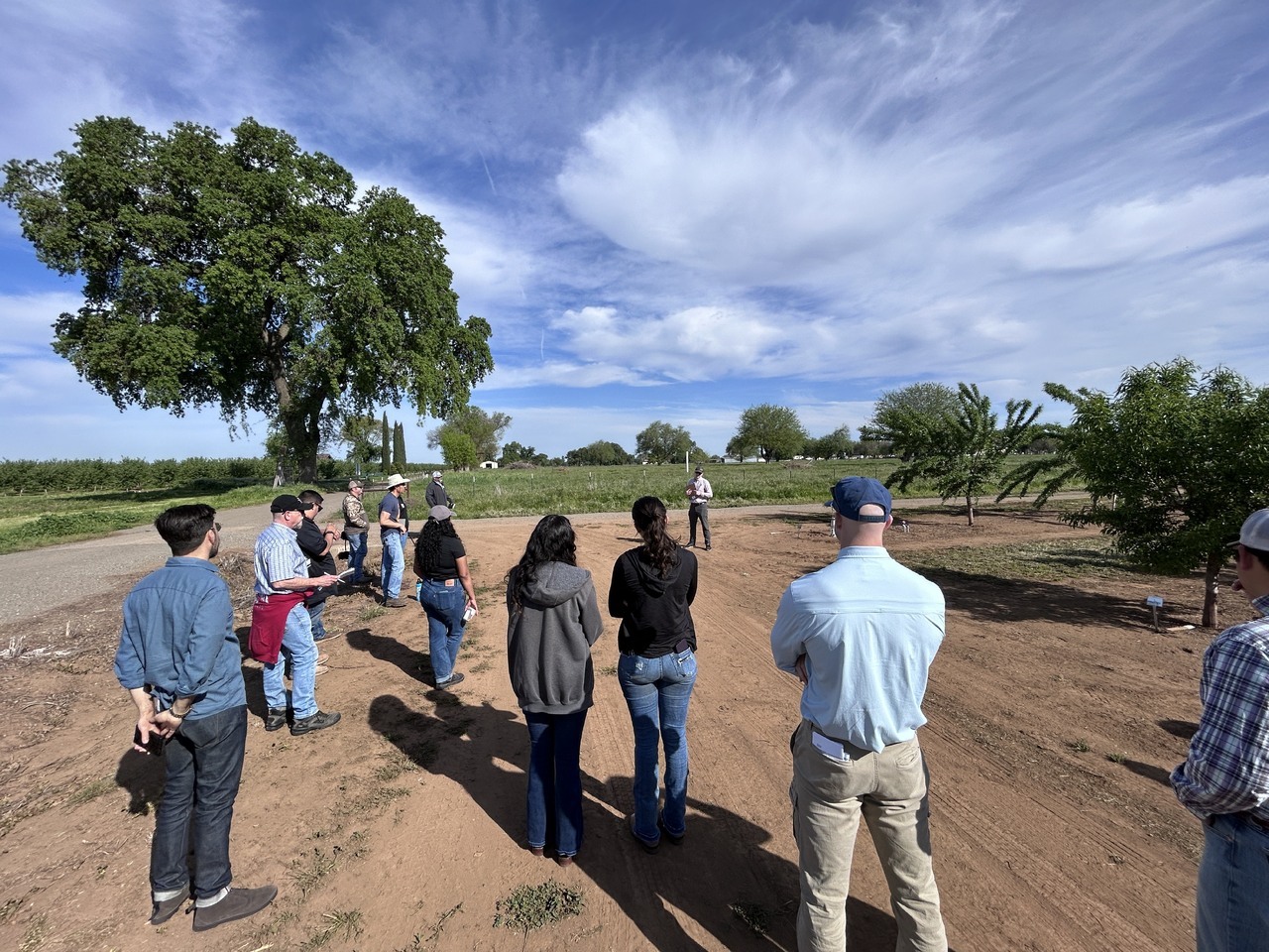 usa-field-day-pest-management