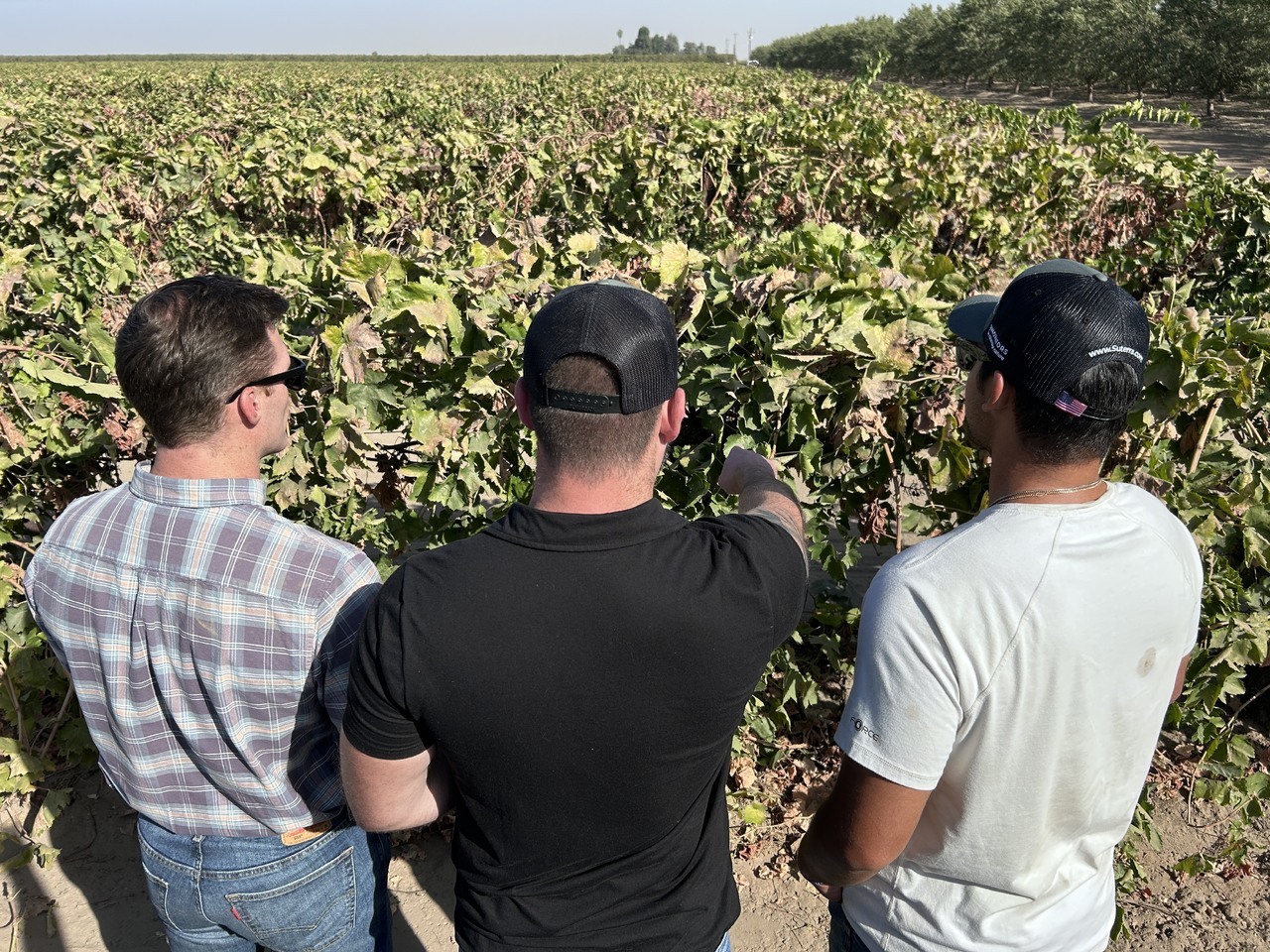 usa-visitors-in-field